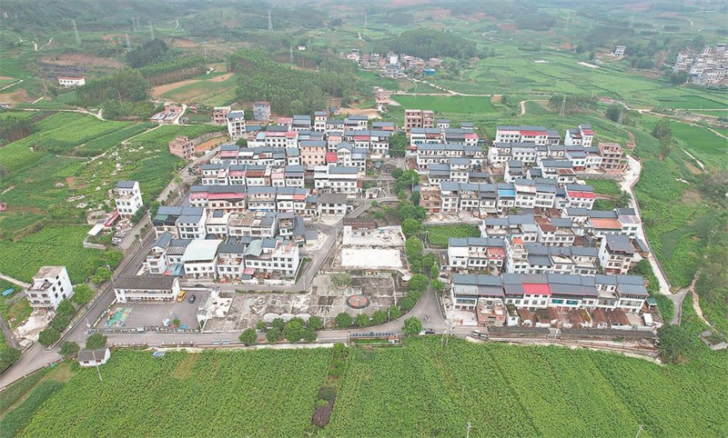 紅渡鎮：“三招”破陳規 新風潤鄉村